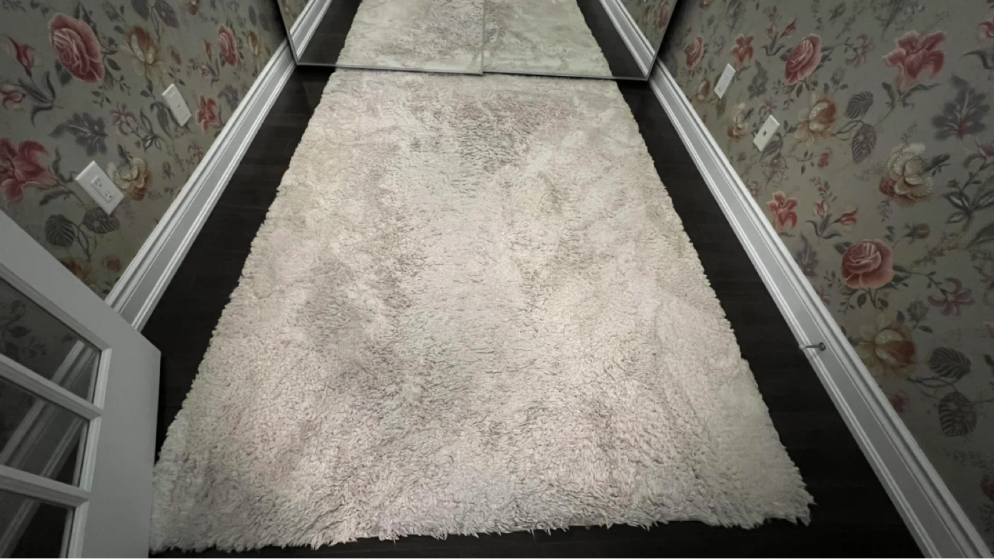 Cream Shag Area Rug 5’X7’ - photo 2