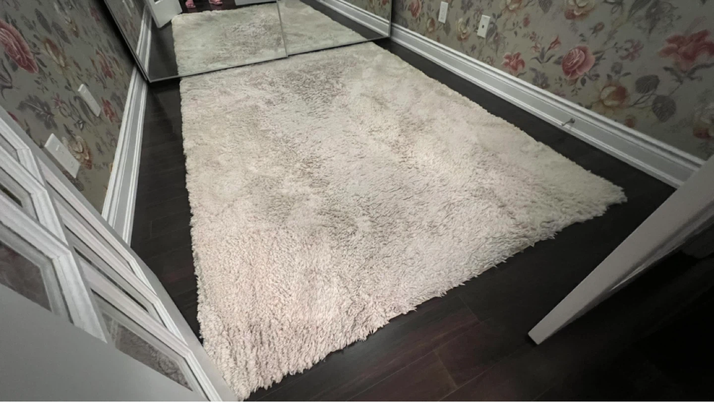 Cream Shag Area Rug 5’X7’ - photo 3