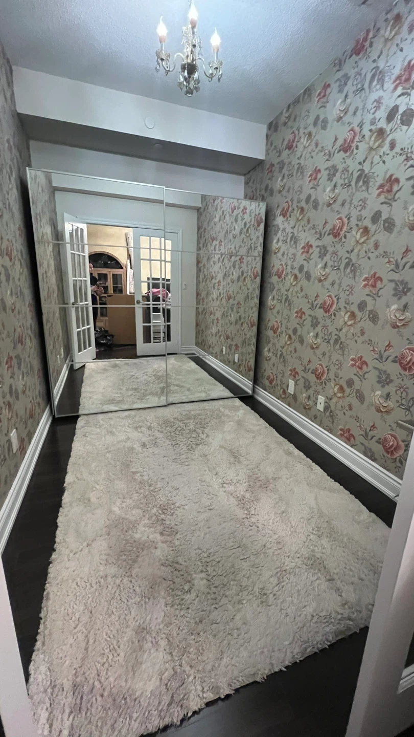 Cream Shag Area Rug 5’X7’