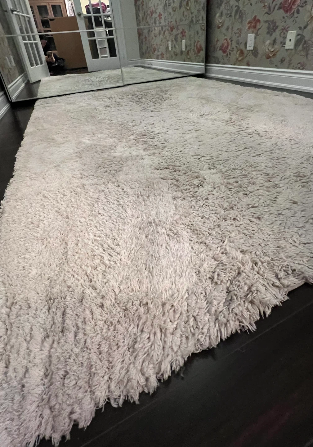 Cream Shag Area Rug 5’X7’ - photo 4