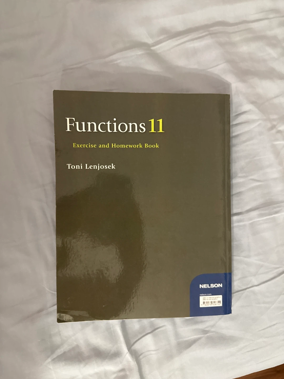 Functions 11 Exercise and Homework Book by Toni Lenjosek - photo 2