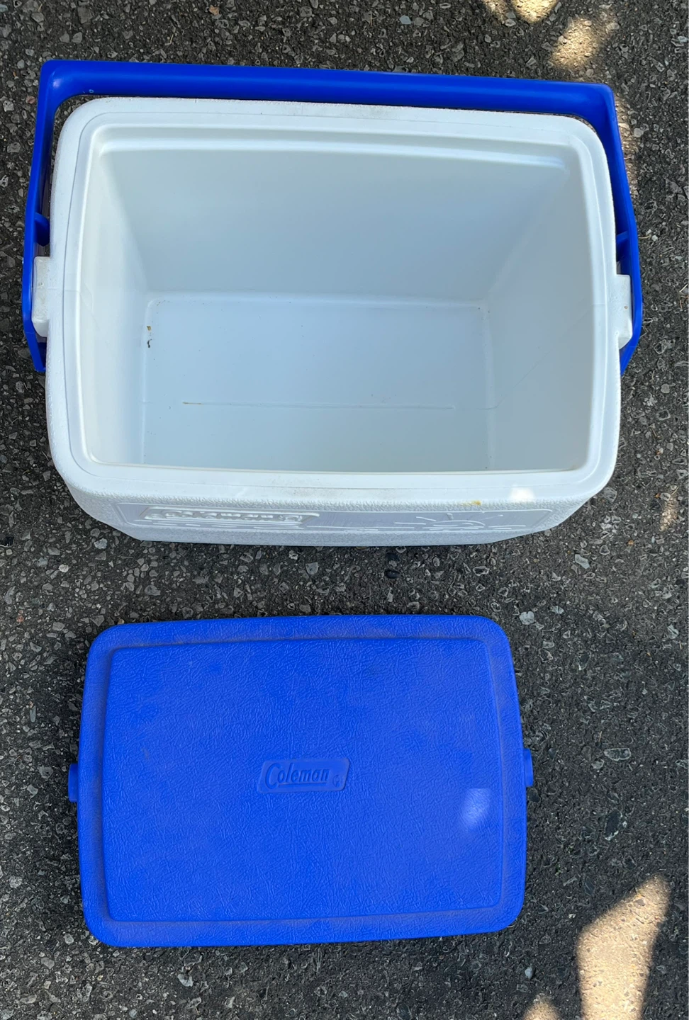 Ice cooler
