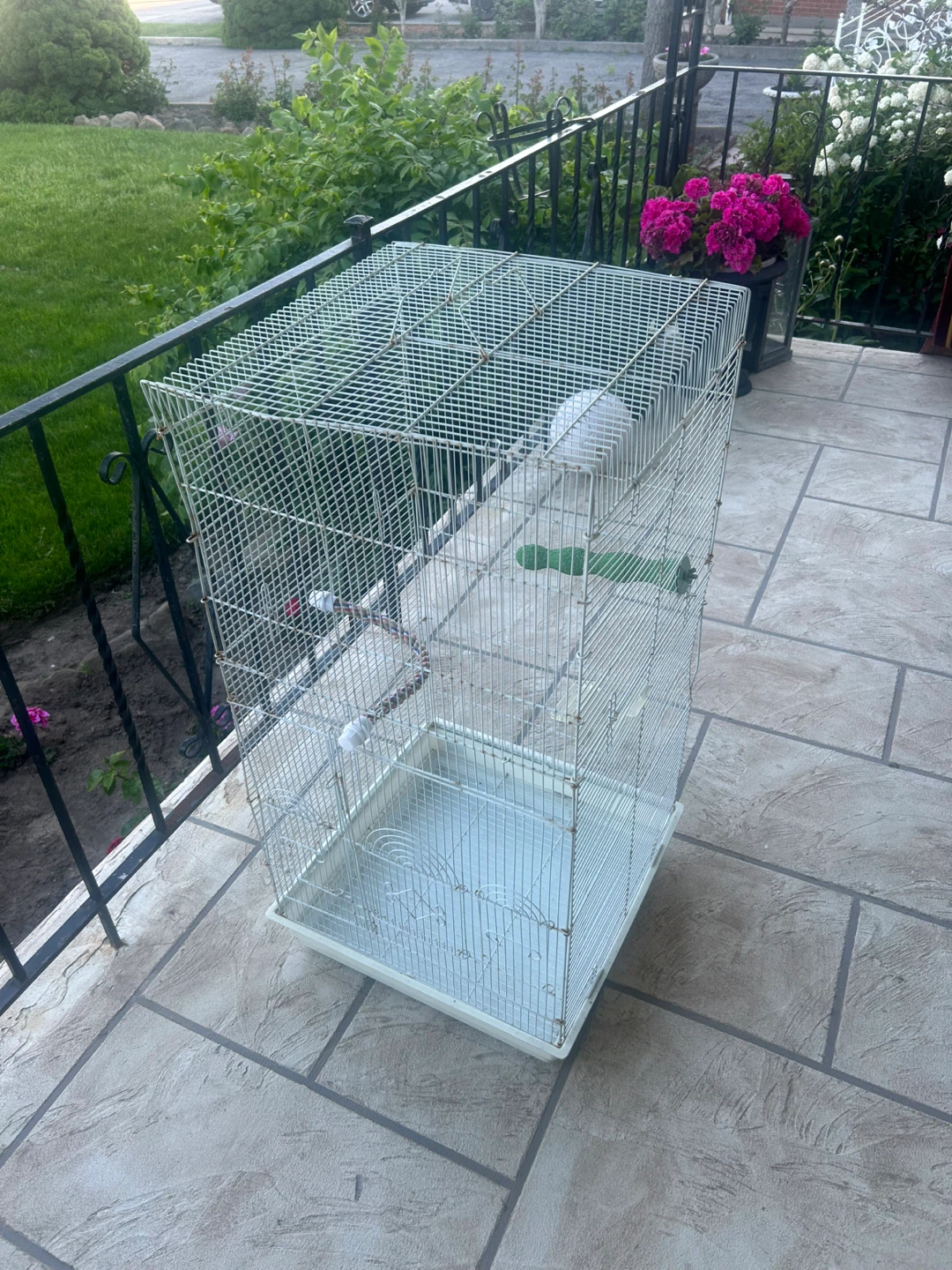 Large wire bird cage