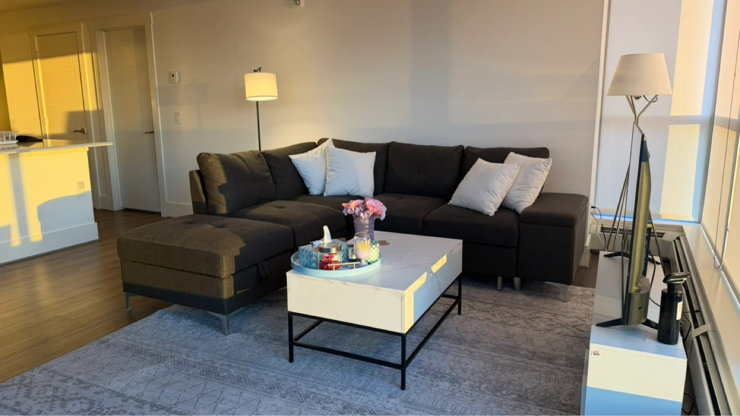 Dark Grey Sectional Sofa with pull out bed and Storage Ottoman