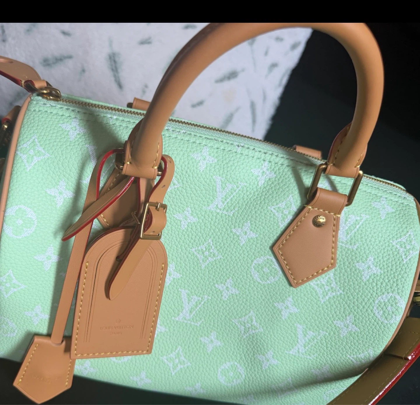 LV Speedy P 9 25 cm Bag