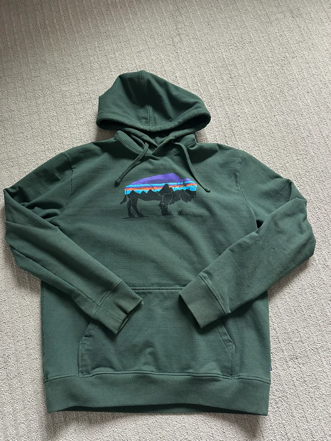 Patagonia men’s hoodie