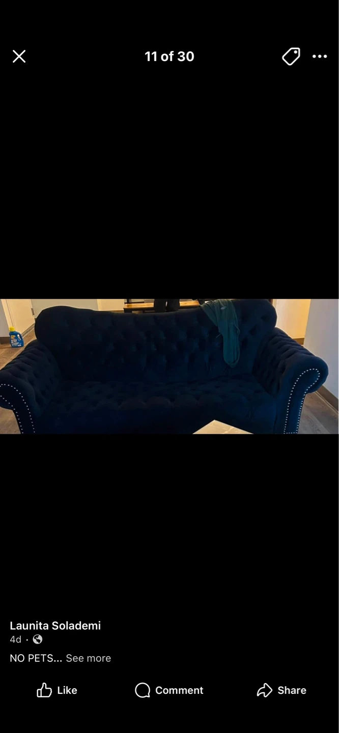 Dark Blue Velvet Tufted Sofa  diamond table lamp rug etc - photo 5