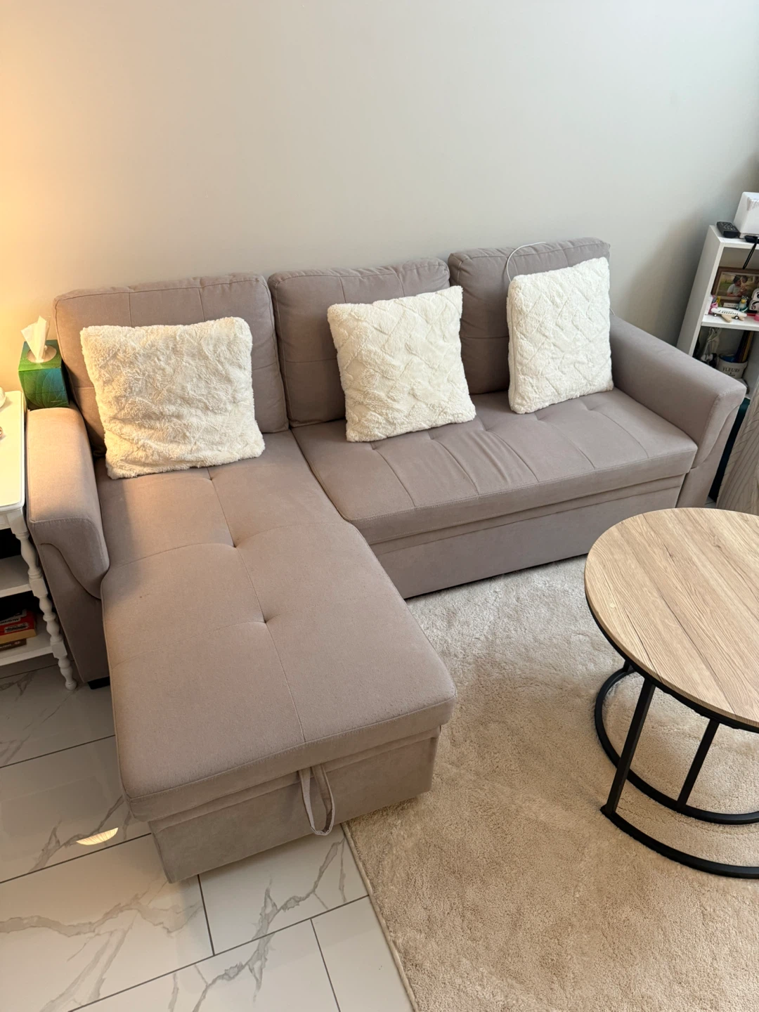 Sectional Sofa Bed with Storage Chaise