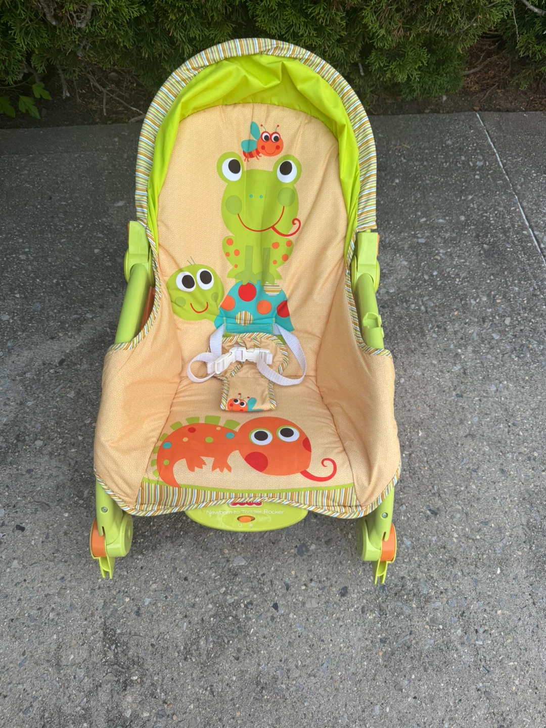 Fisher-Price Newborn-to-Toddler Rocker