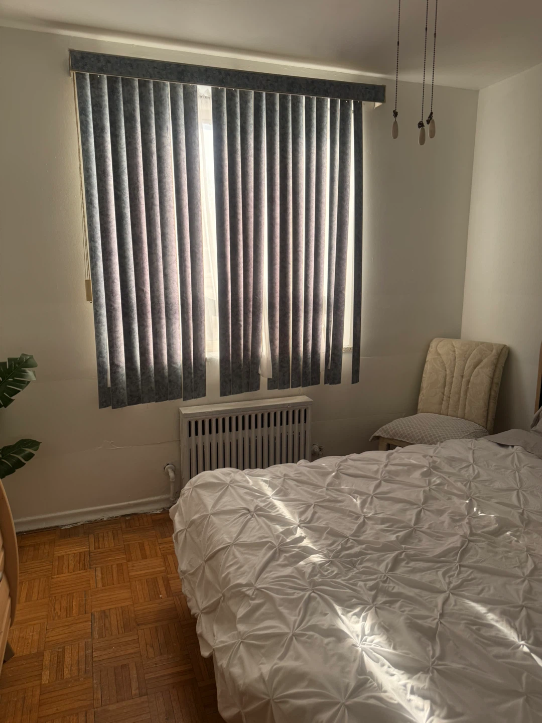 FEMALE ROOMMATE - photo 5