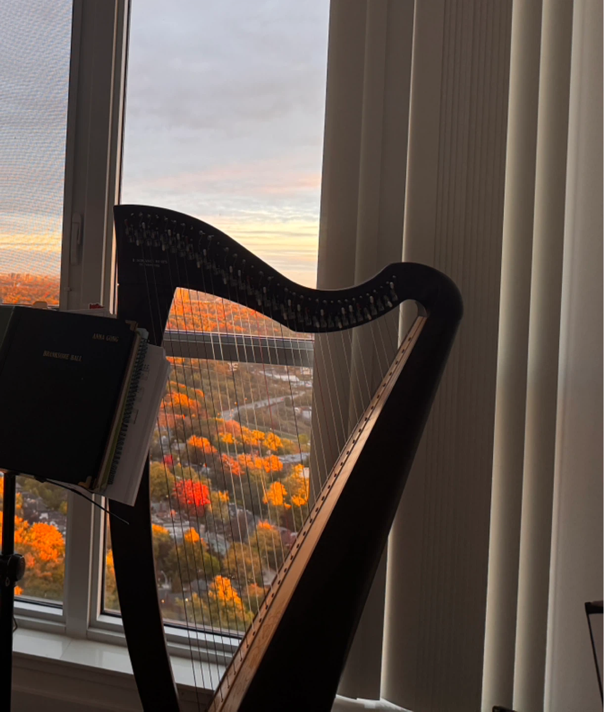 Concert Harp