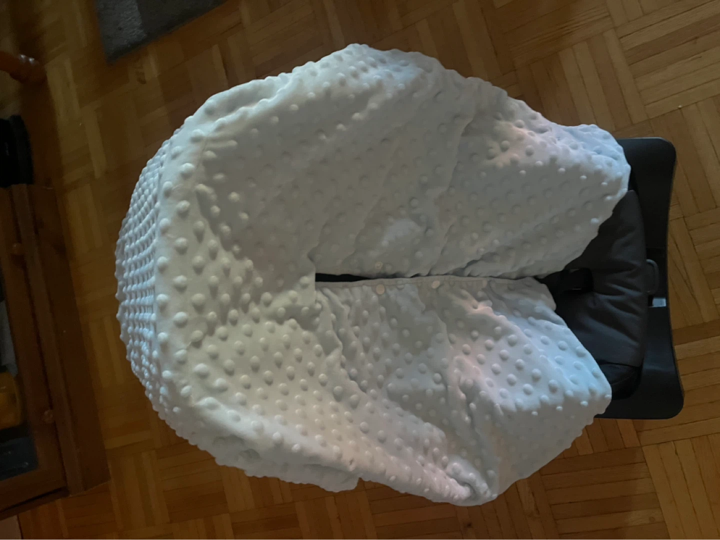 Baby Car Seat Cover and Plush Blanket Set - photo 3