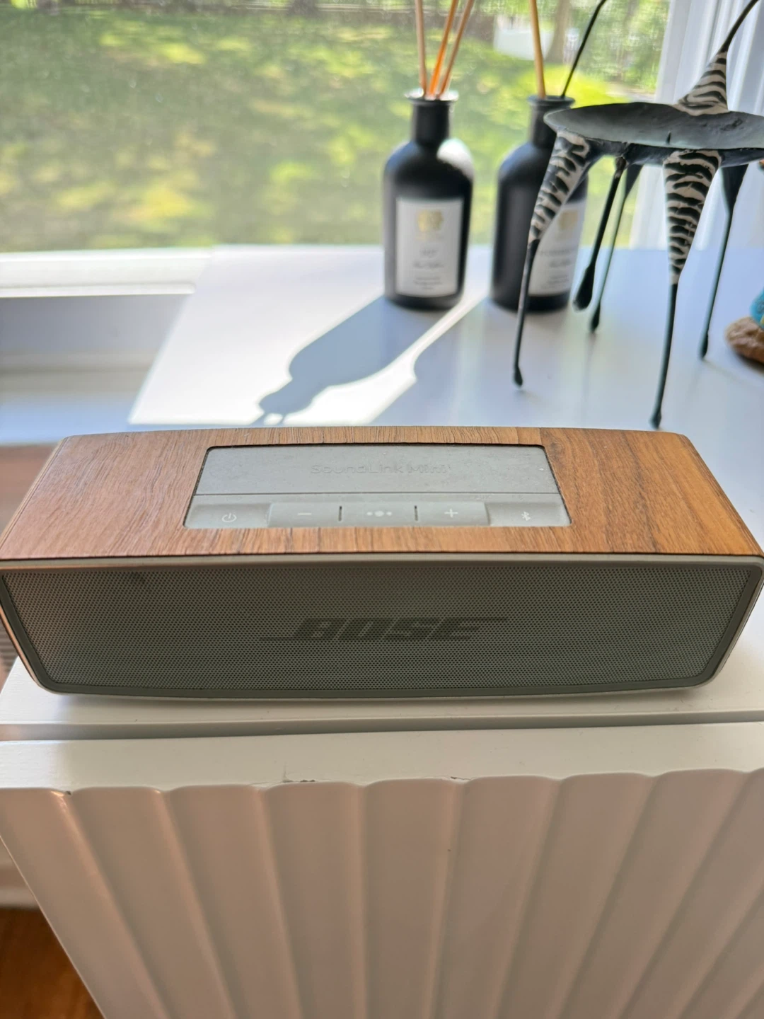 Bose SoundLink Mini Bluetooth Speaker
