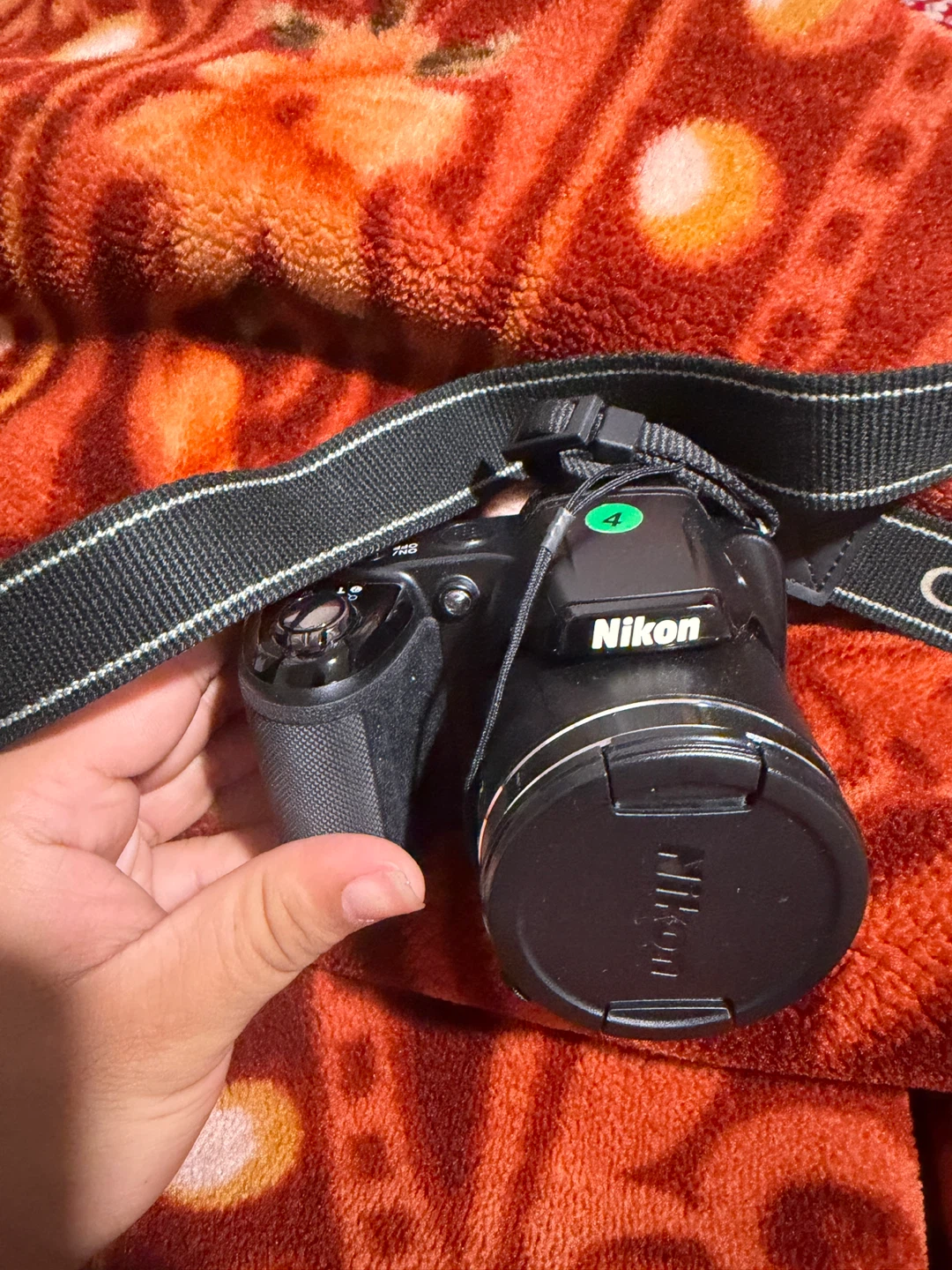 Nikon COOLPIX L340 Digital Camera