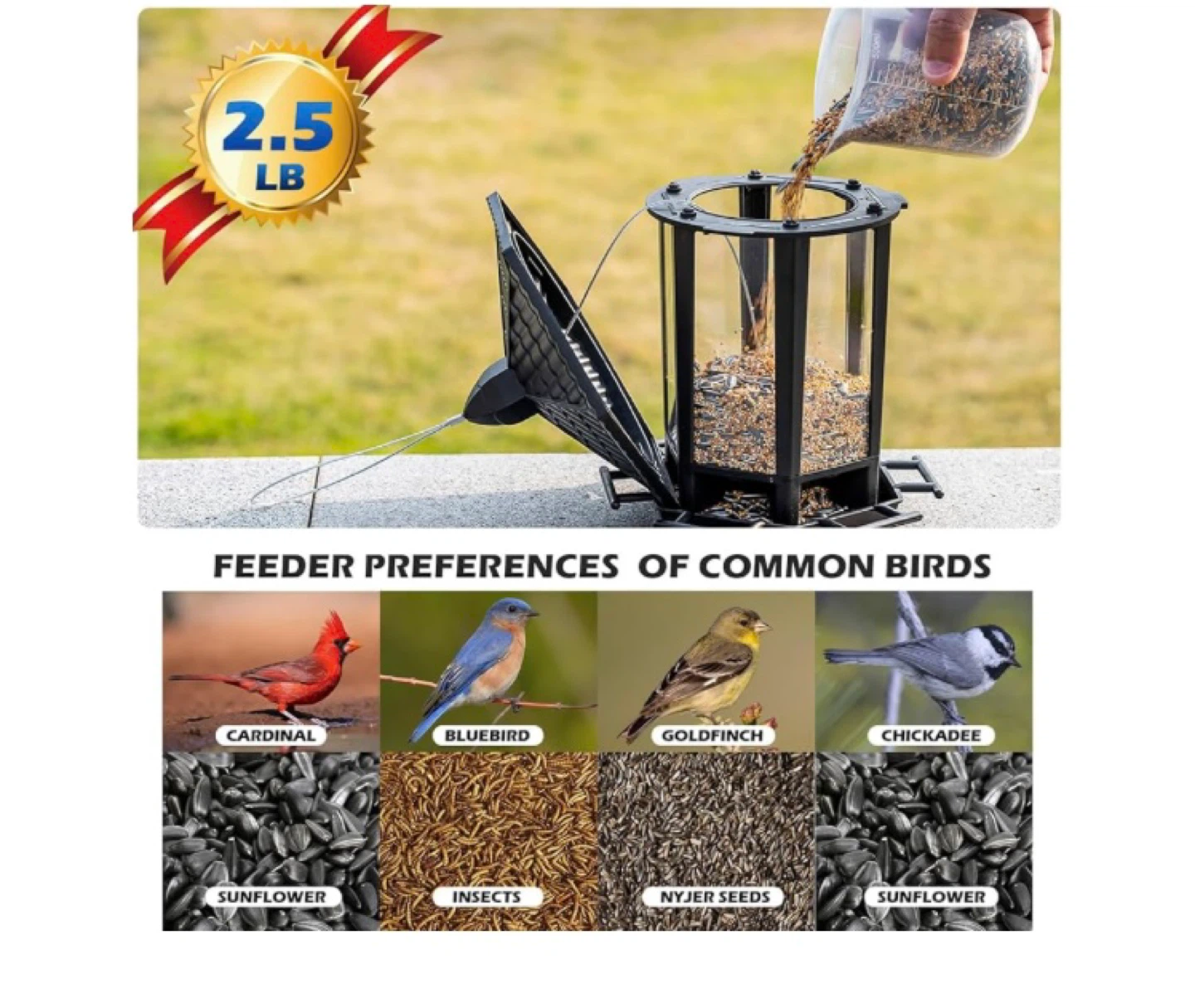 Birdream Hanging Bird Feeder - photo 4