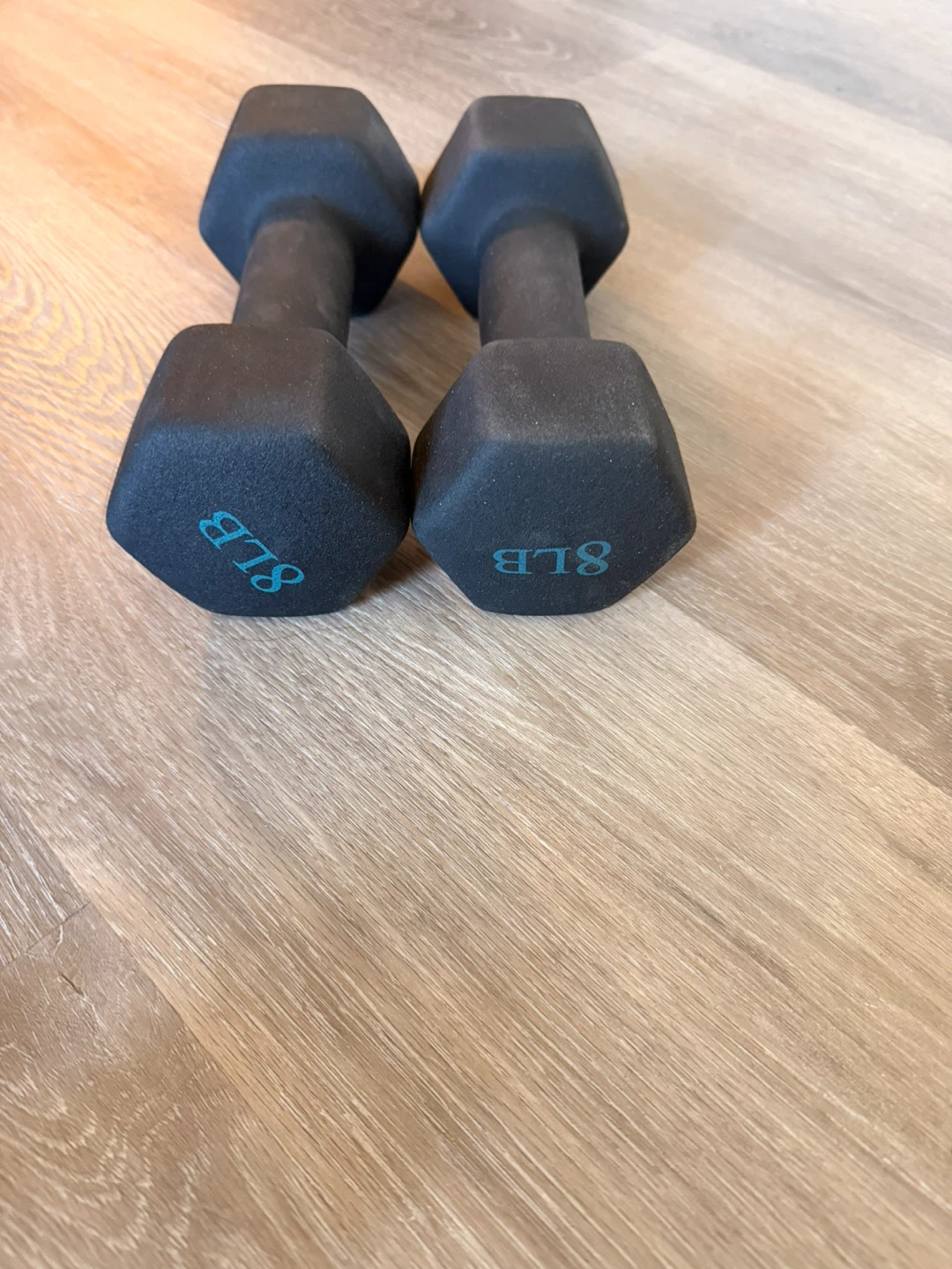 8lbs Dumbbells - photo 2