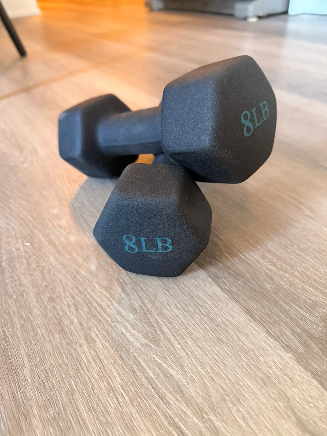 8lbs Dumbbells