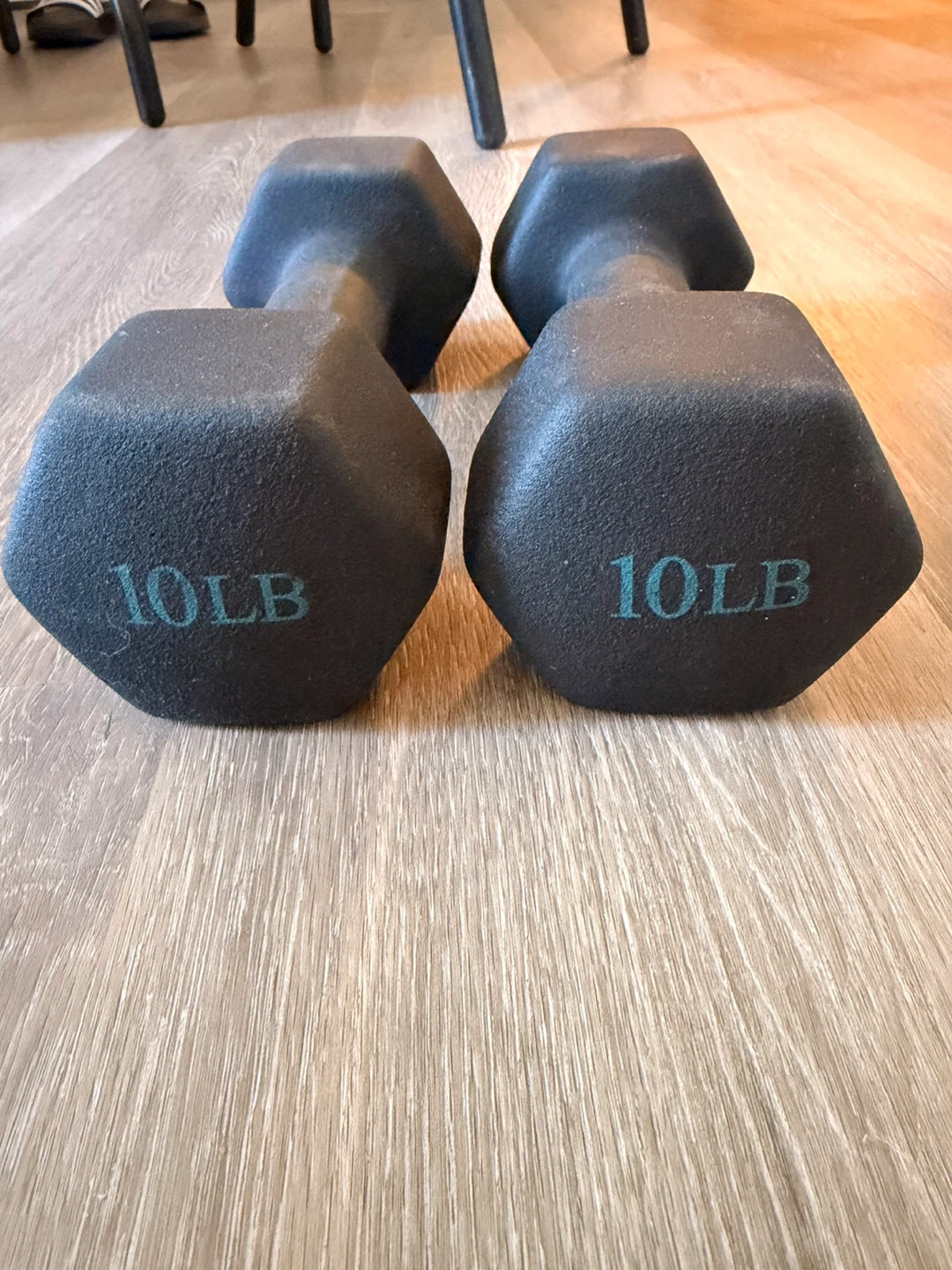 10lb Dumbbells