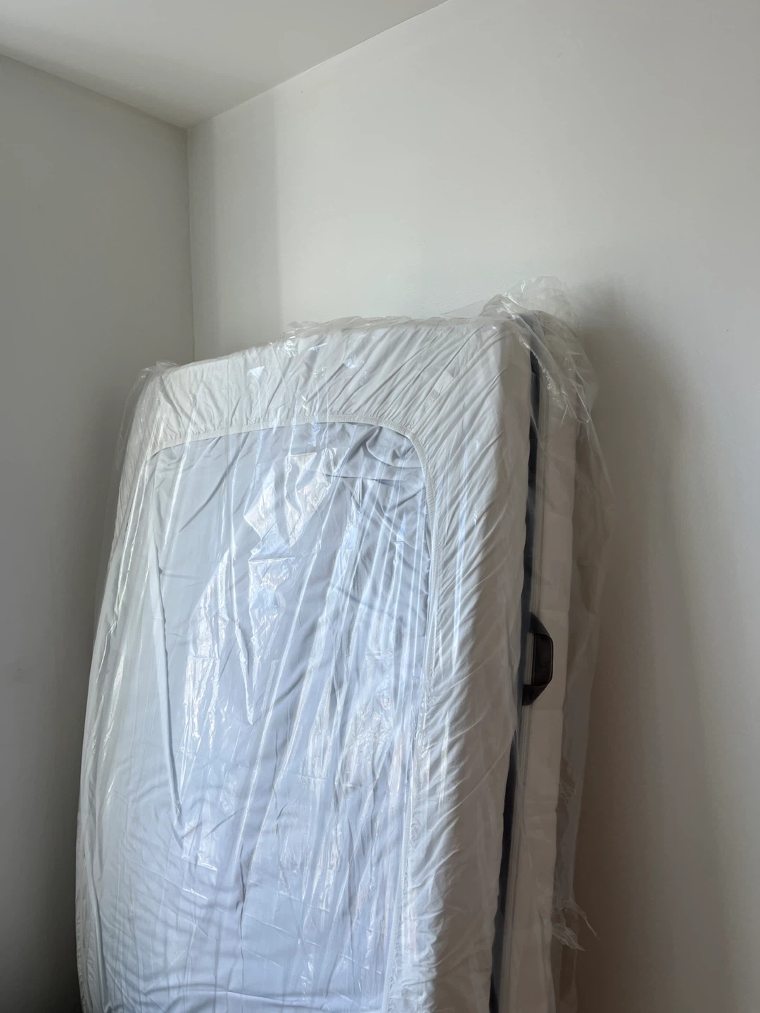 Two Twin Mattresses!