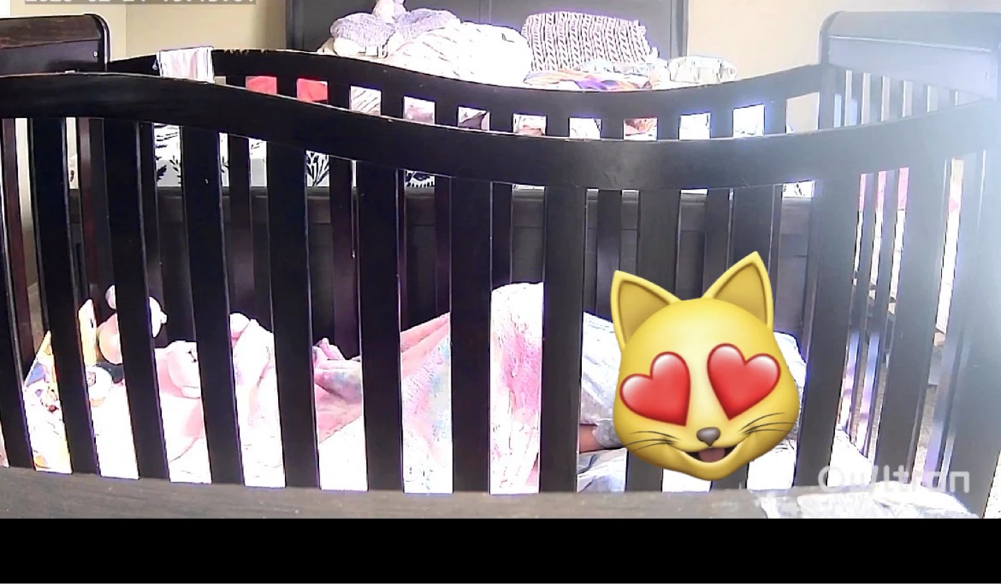 FREE Convertible Dark Wood Baby Crib with Mattress