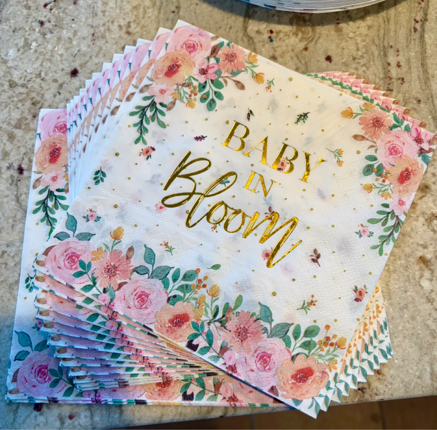 Baby in Bloom Napkins and Plates Set