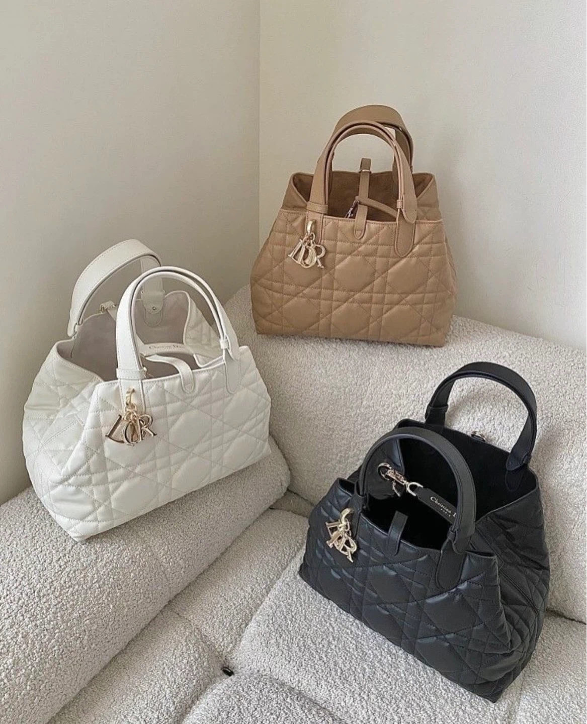 Dior leather bags