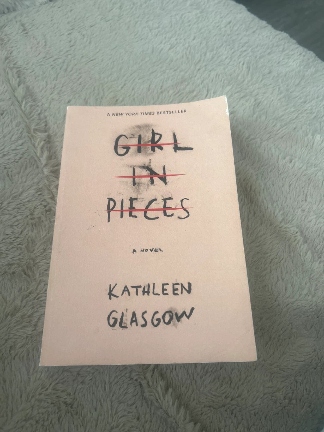 Girl in Pieces by Kathleen Glasgow Paperback Novel