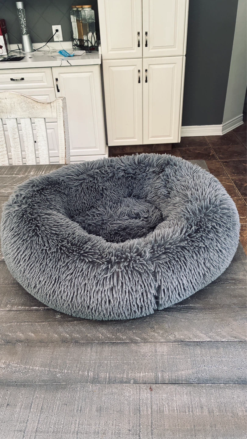 Plush small dog/cat bed in great condition & clean
