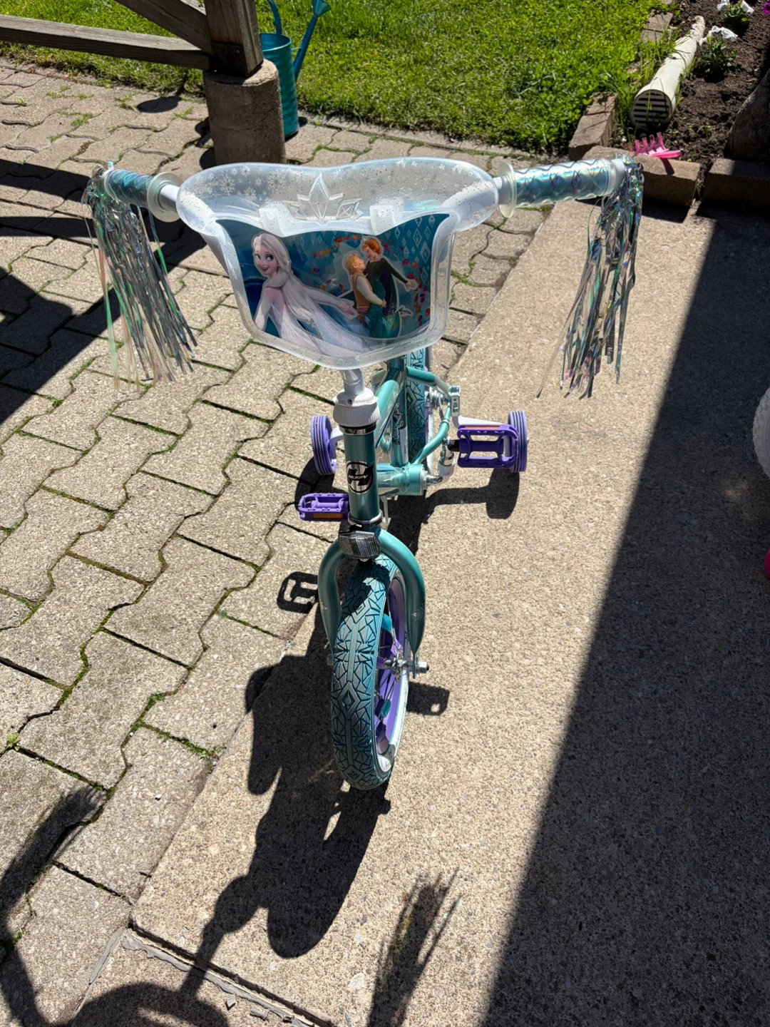 Frozen 12 inch Bike