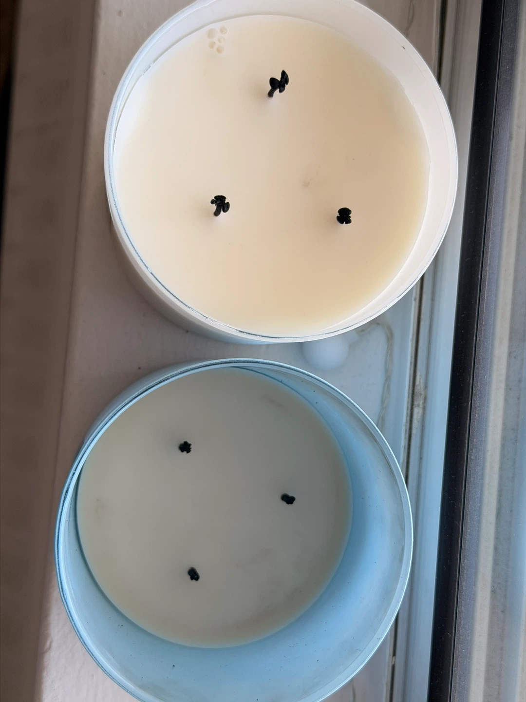 Aromatic candles - photo 4