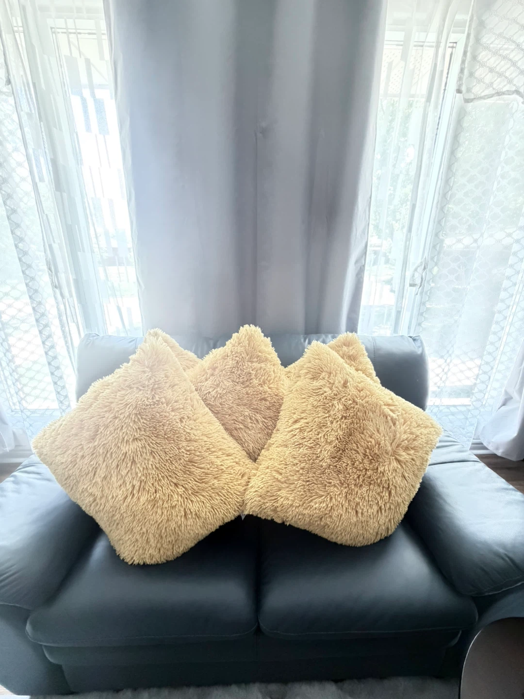 Throw Cushion