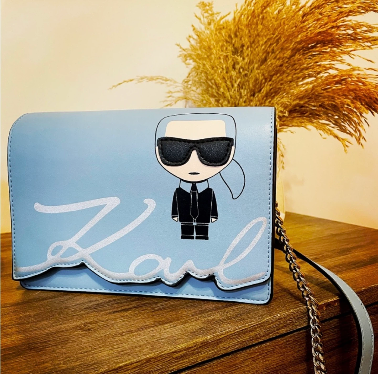 Karl Lagerfeld  Bag