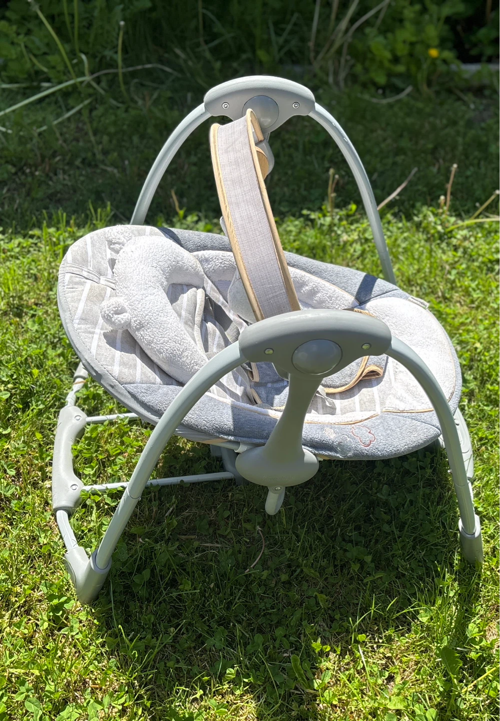 Ingenuity Baby Swing (with music) - photo 4