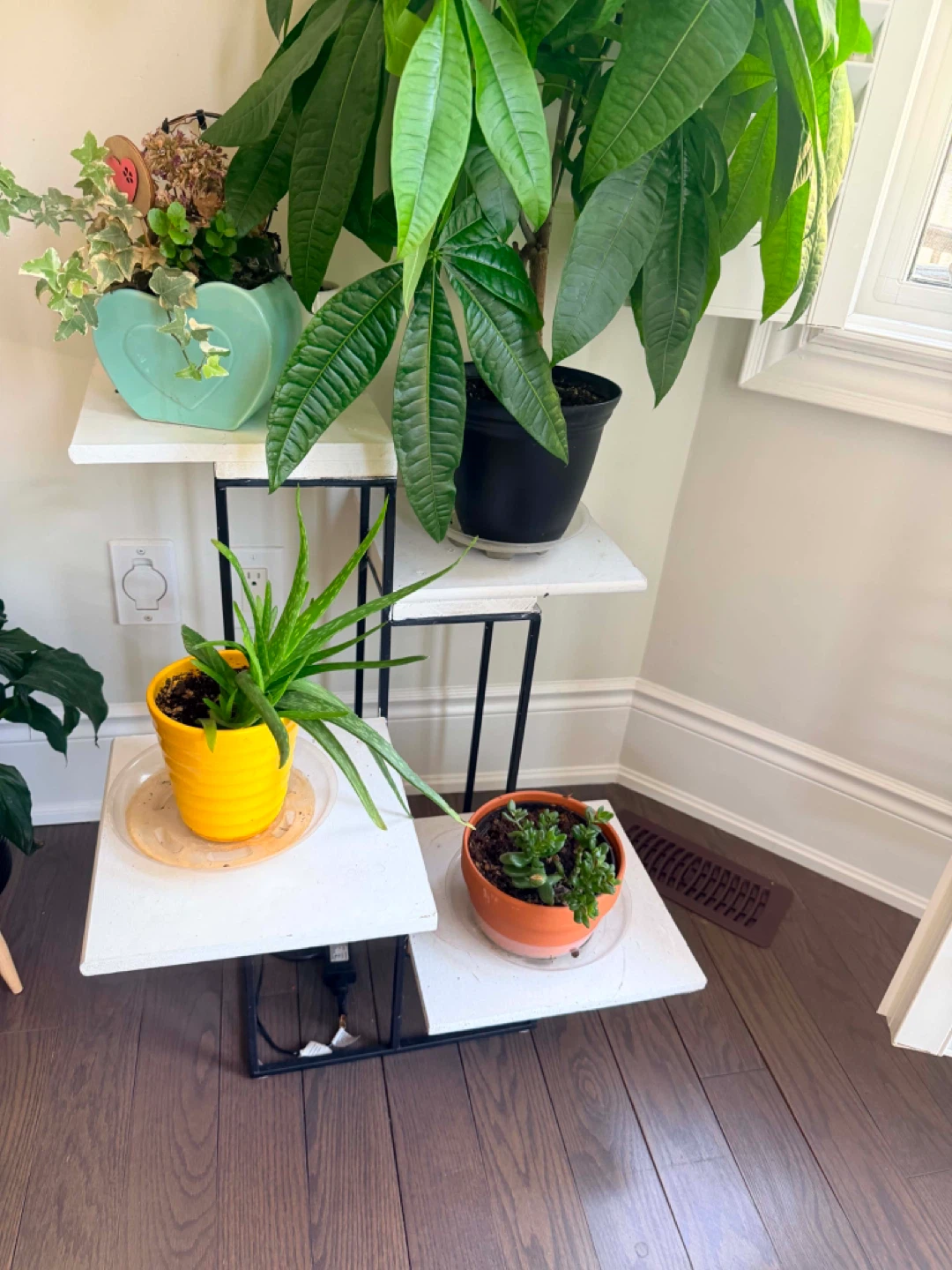 Tiered Plant Stand
