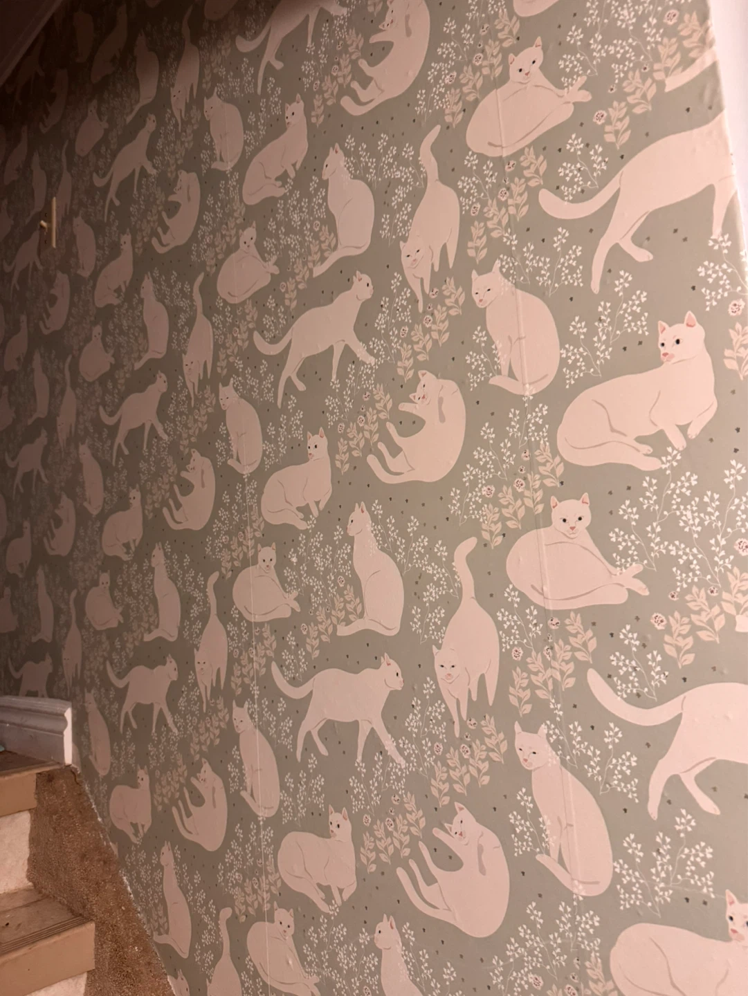 Kawaii Cat Wallpaper - 17.7in x 6.5ft - photo 3