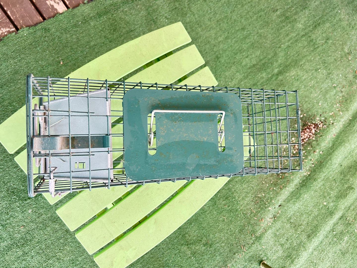 Magnum Live Animal Traps Model 85004