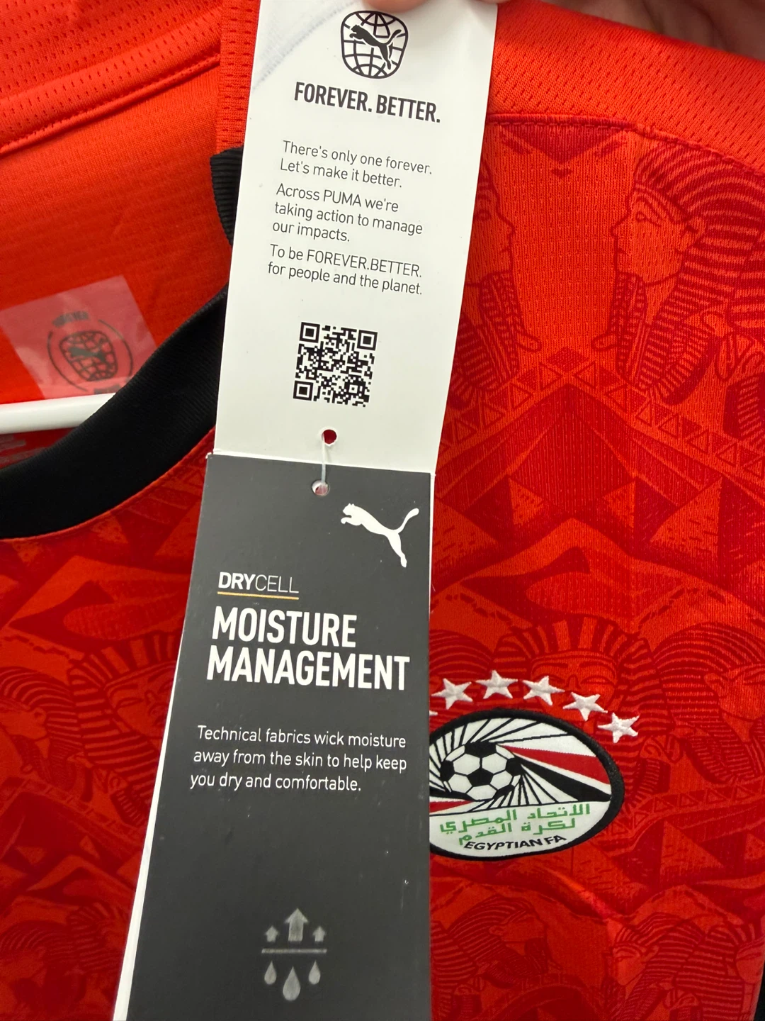 Puma Egypt National Football Team Jersey - photo 4