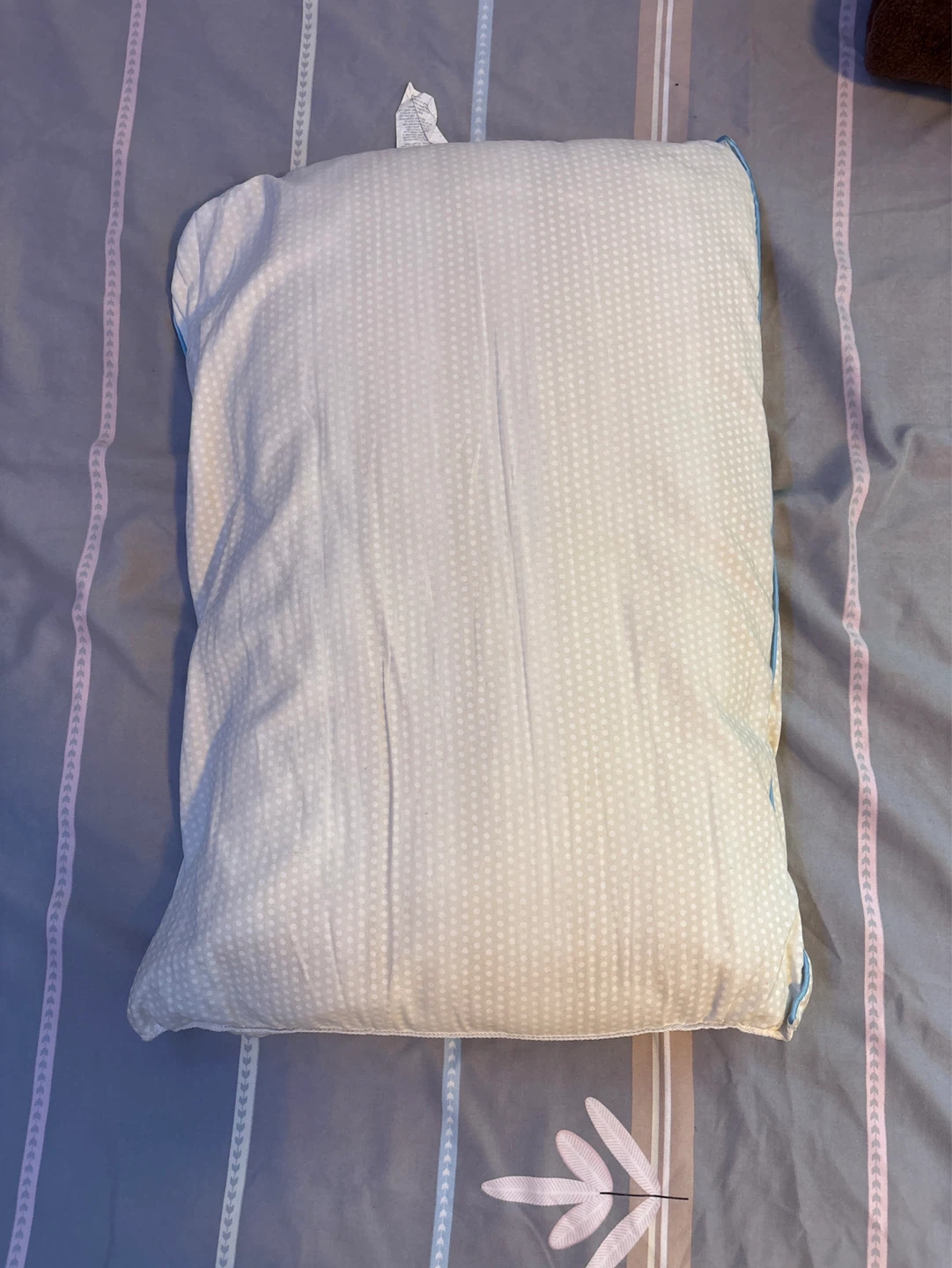 Standard Pillow