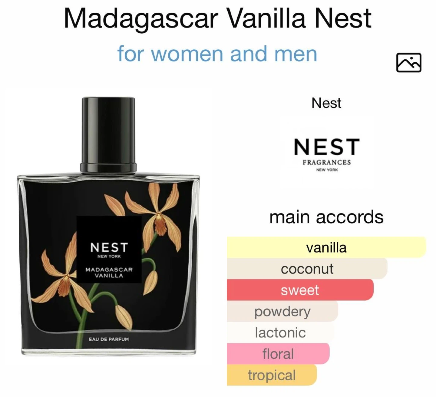 Nest Madagascar Vanilla Perfume Oil Rollerball - photo 5