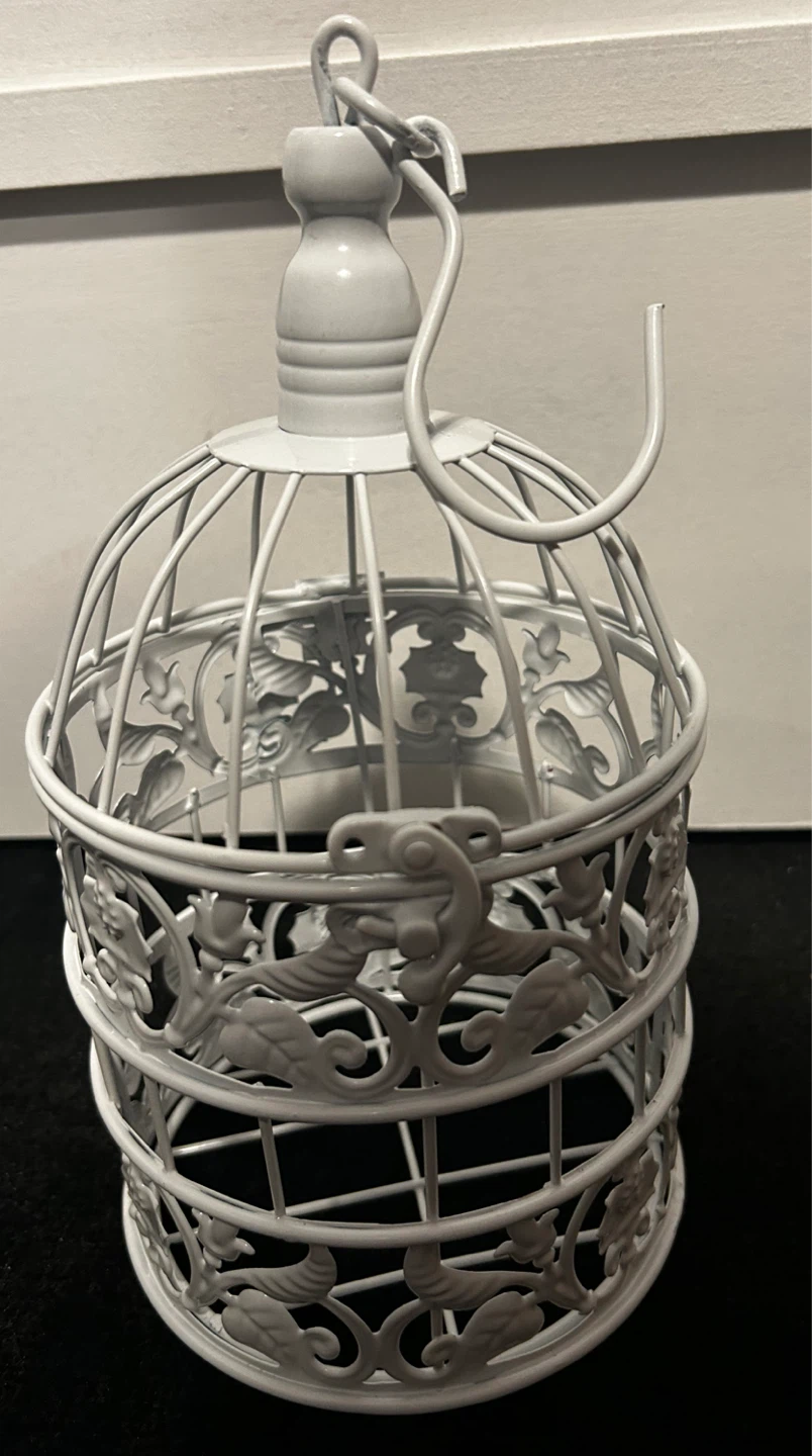 Decorative White Birdcage