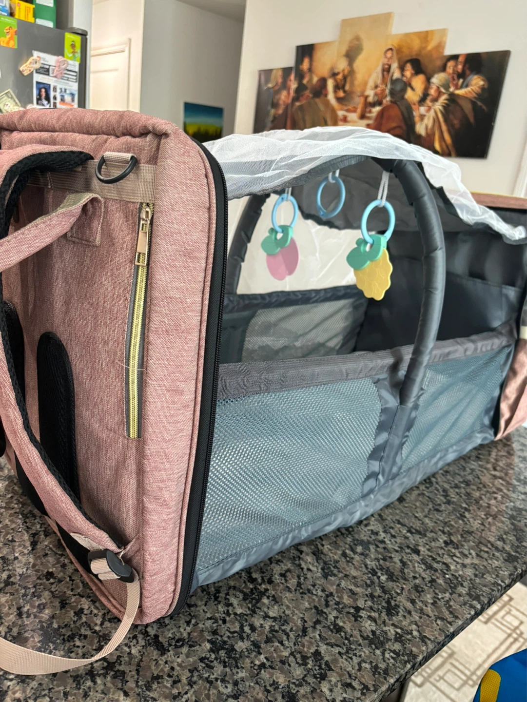 LAND Travel Backpack - photo 5