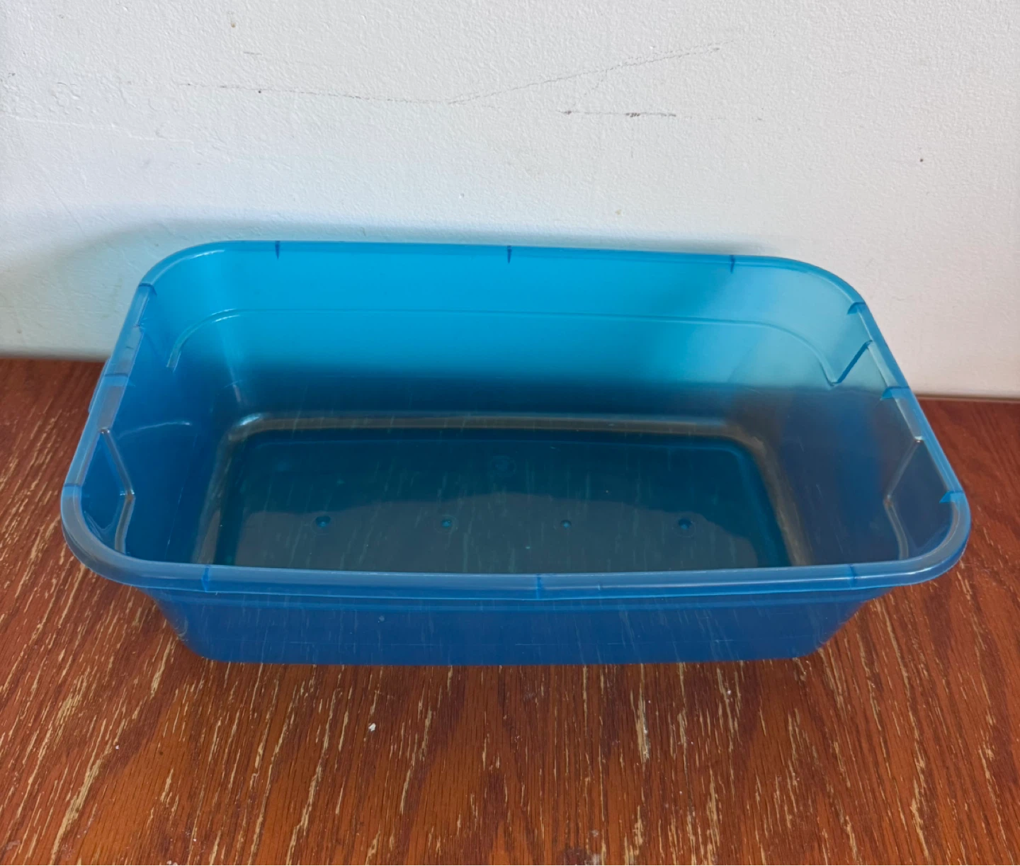Blue Plastic Container - photo 2