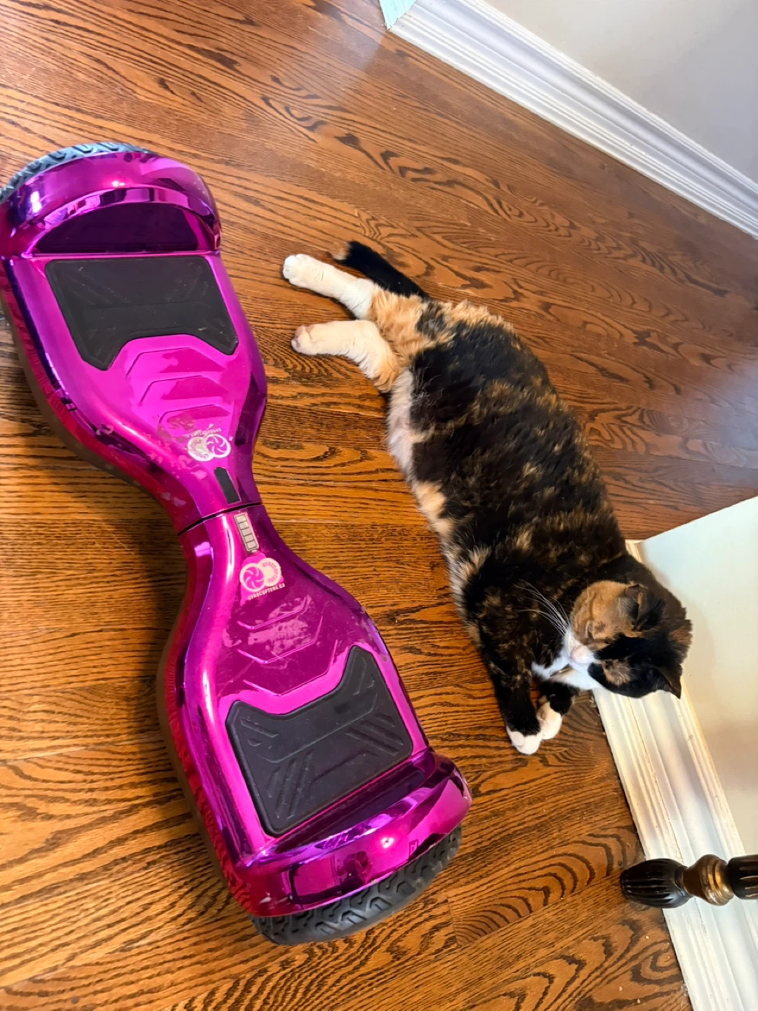 Pink Hoverboard