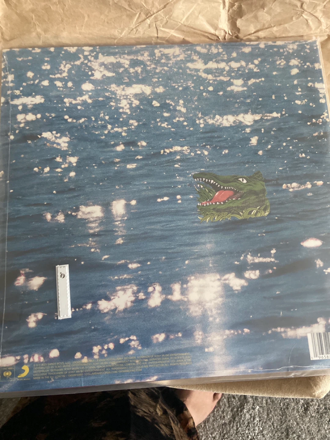 Dominic Fike Sunburn Vinyl Record - photo 2