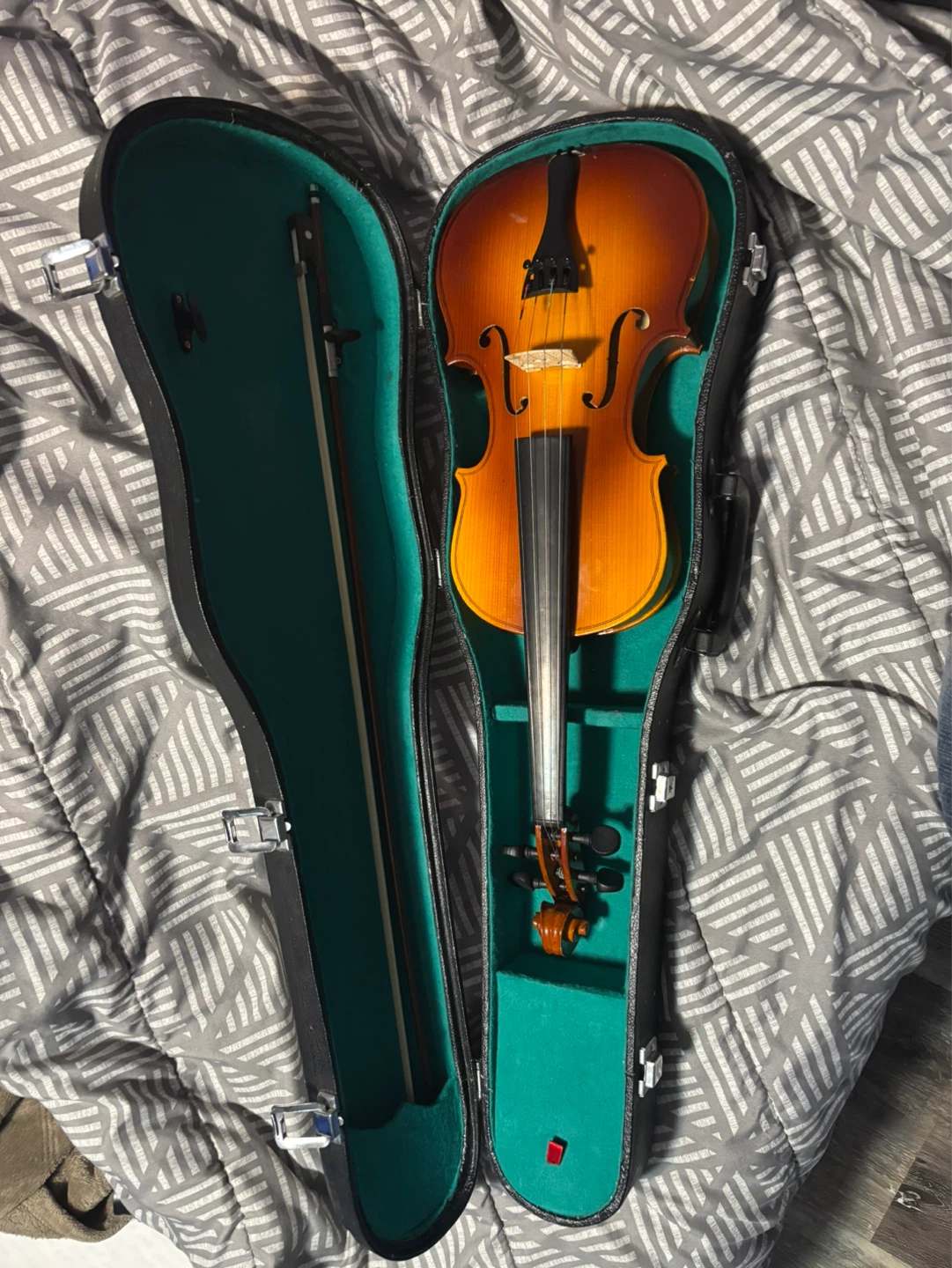 Violin with Case and Bow