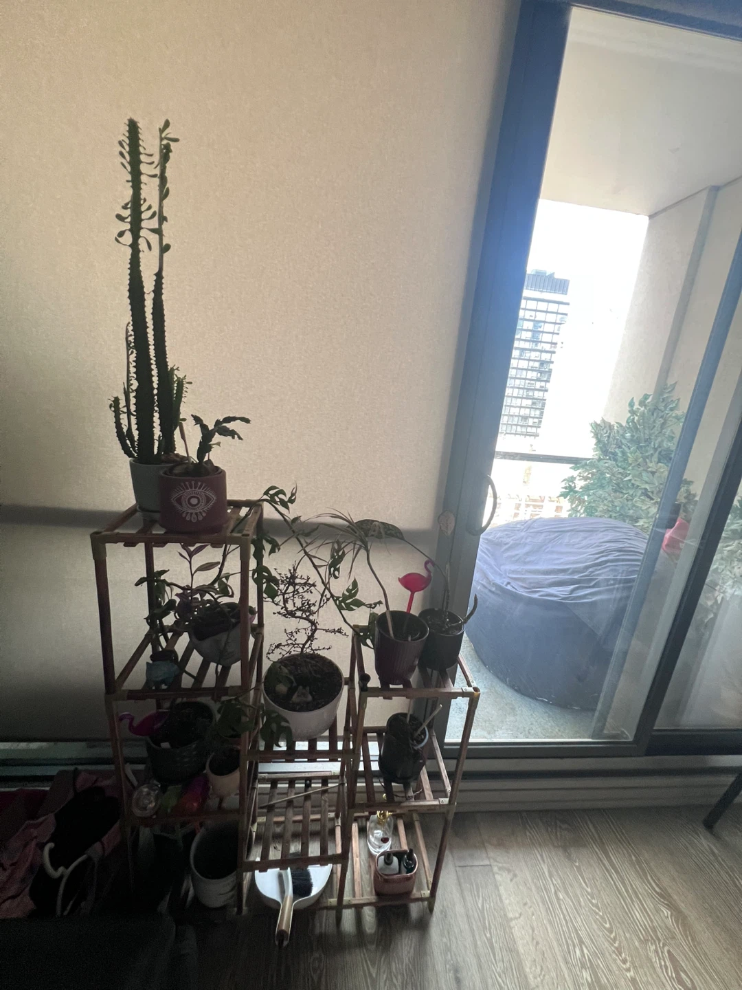 Various Houseplants & Plant Supplies