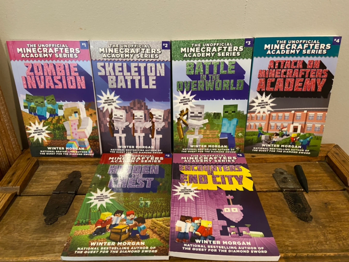 The Unofficial Minecrafters Academy Series Book 1-6