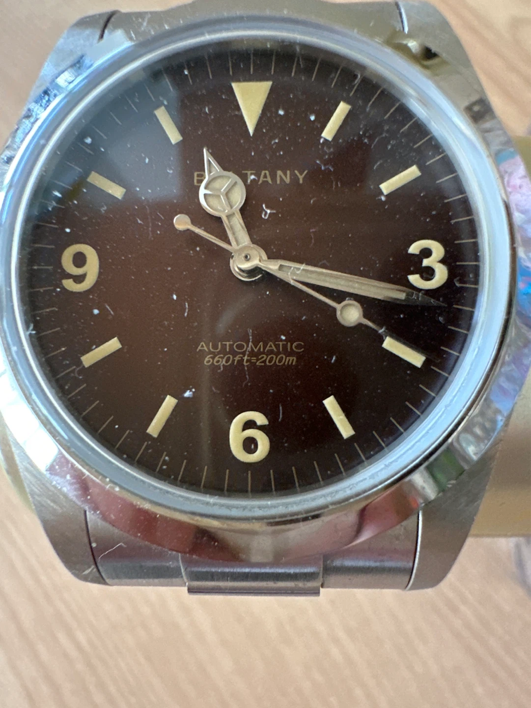 Tany Automatic Dive Watch