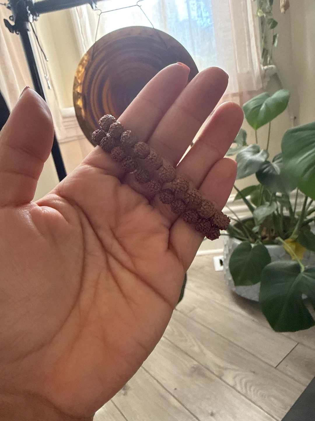 Rudraksha Seed Bracelet