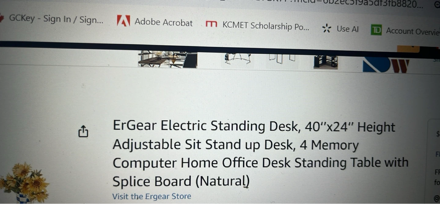 ErGear Electric Standing Desk, 40"x24", Natural - photo 2